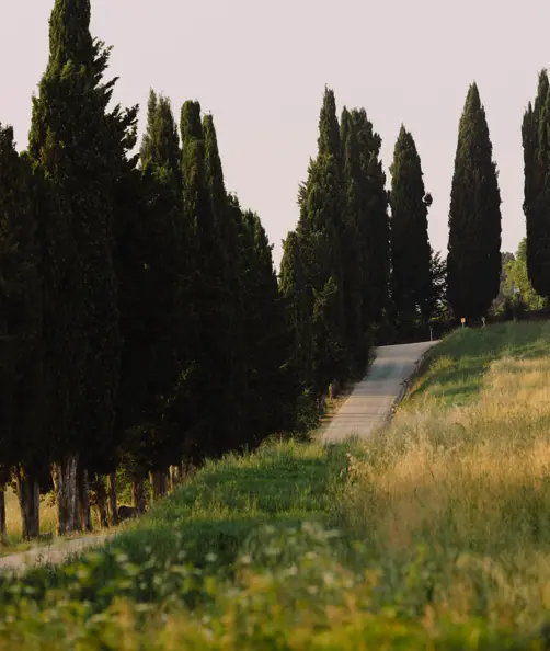 Borgo Pignano Luxury Hotel Tuscany 0X5A7729