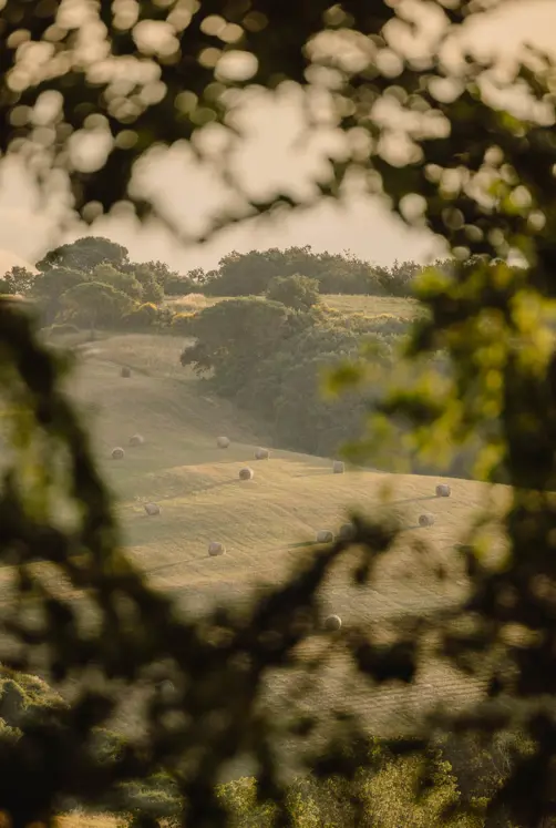Borgo Pignano Luxury Hotel Tuscany 0X5A1711