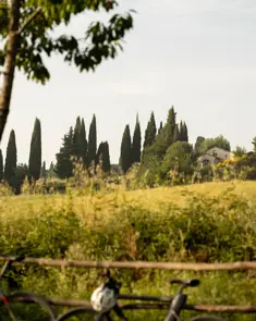 Borgo Pignano Luxury Hotel Tuscany DM 6229