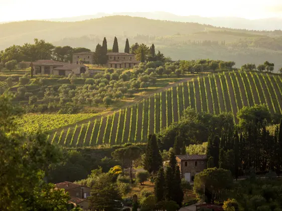 Borgo Pignano Luxury Hotel Florence Istock 2197985409