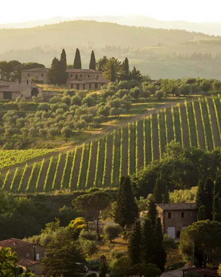 Borgo Pignano Luxury Hotel Florence Istock 2197985409