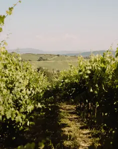 Borgo Pignano Luxury Hotel Tuscany 0X5A3636