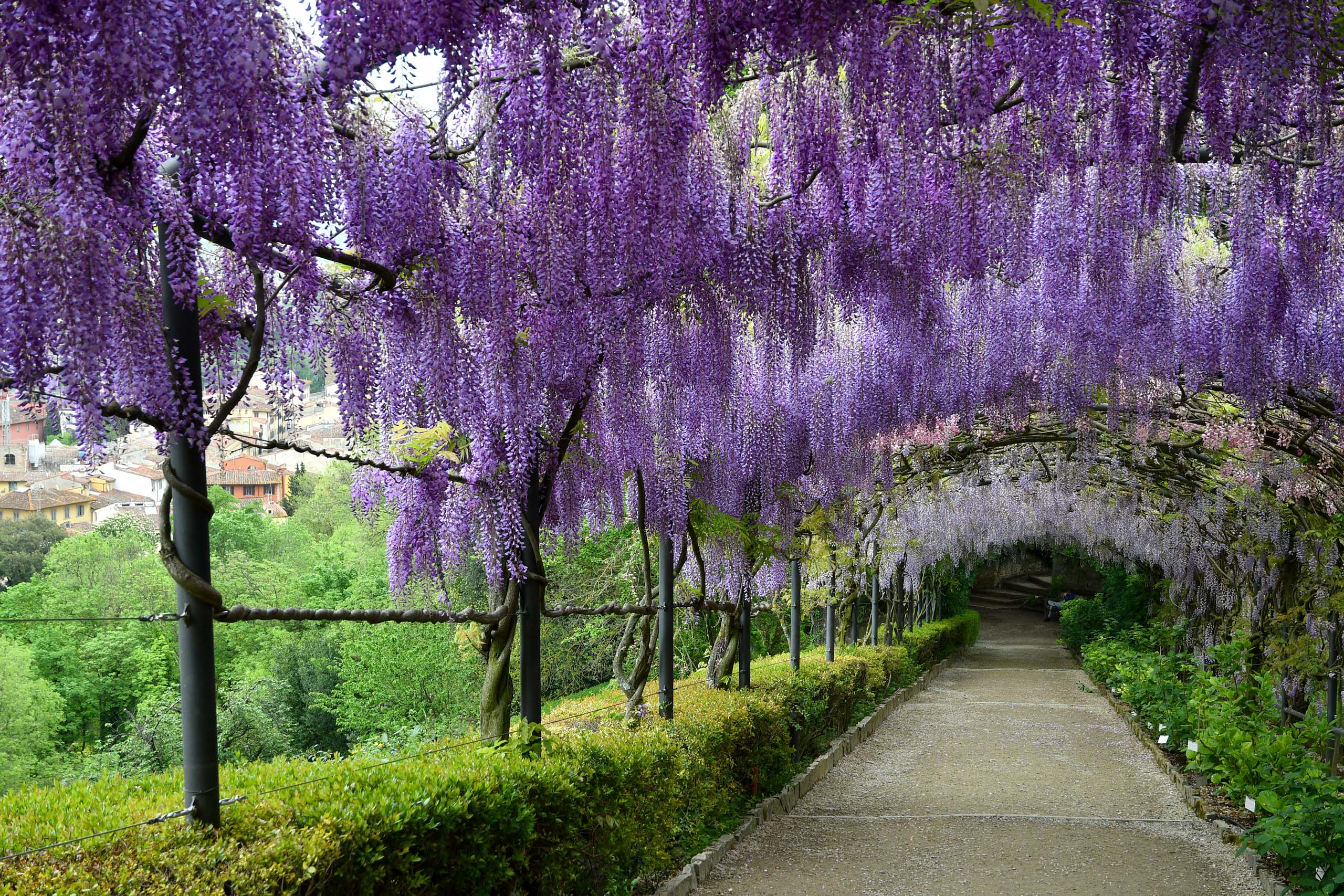 Borgo Pignano Florence Tscany Istock 1167406900