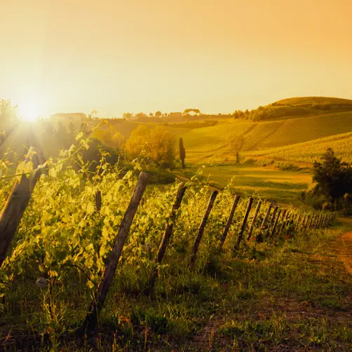 Baorgo Pignano Tuscany Is 160971231