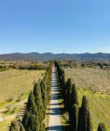 Baorgo Pignano Tuscany Is 1484268796