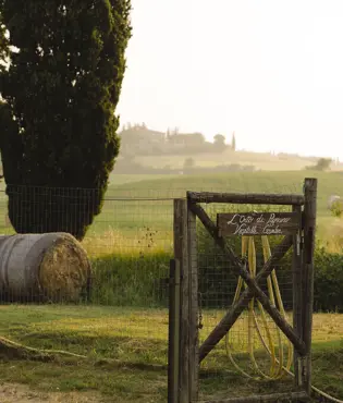 Borgo Pignano Luxury Hotel Tuscany 0X5A7720