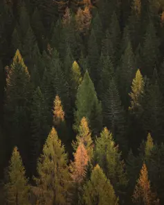 Borgo Pignano Tuscany Federico Bottos Z3ncesezqgi Unsplash