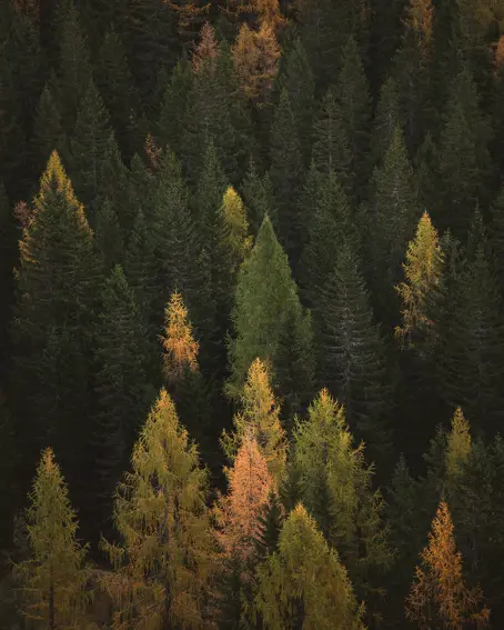 Borgo Pignano Tuscany Federico Bottos Z3ncesezqgi Unsplash