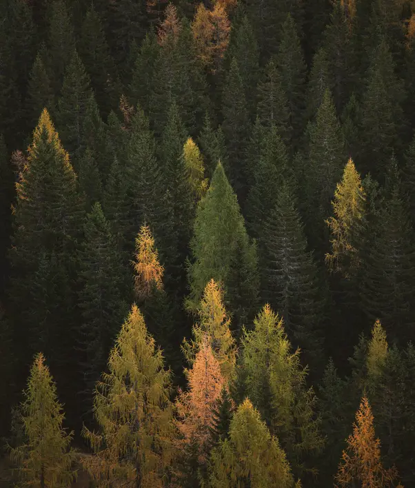 Borgo Pignano Tuscany Federico Bottos Z3ncesezqgi Unsplash