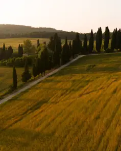 Borgo Pignano Luxury Hotel Tuscany DJI 20250614063401 0088 D