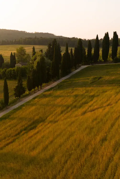 Borgo Pignano Luxury Hotel Tuscany DJI 20250614063401 0088 D