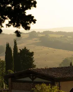 Borgo Pignano Luxury Hotel Tuscany DM 4180