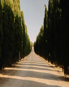 Borgo Pignano Luxury Hotel Tuscany L1004280