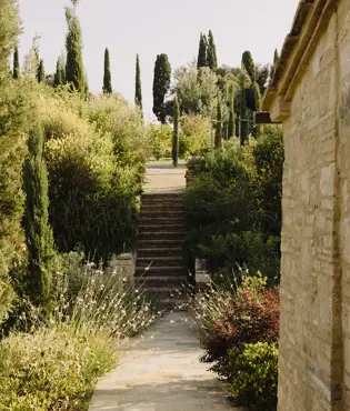 Borgo Pignano Luxury Hotel Tuscany 0X5A3324