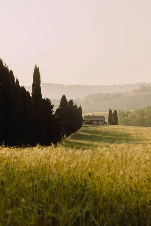 Borgo Pignano Luxury Hotel Tuscany 0X5A5896