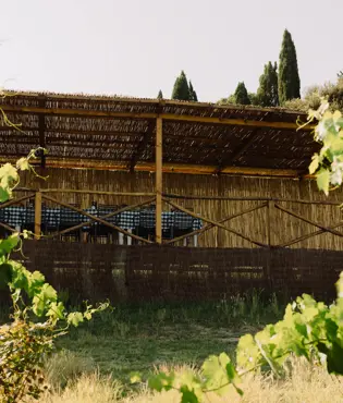Borgo Pignano Luxury Hotel Tuscany 0X5A3645