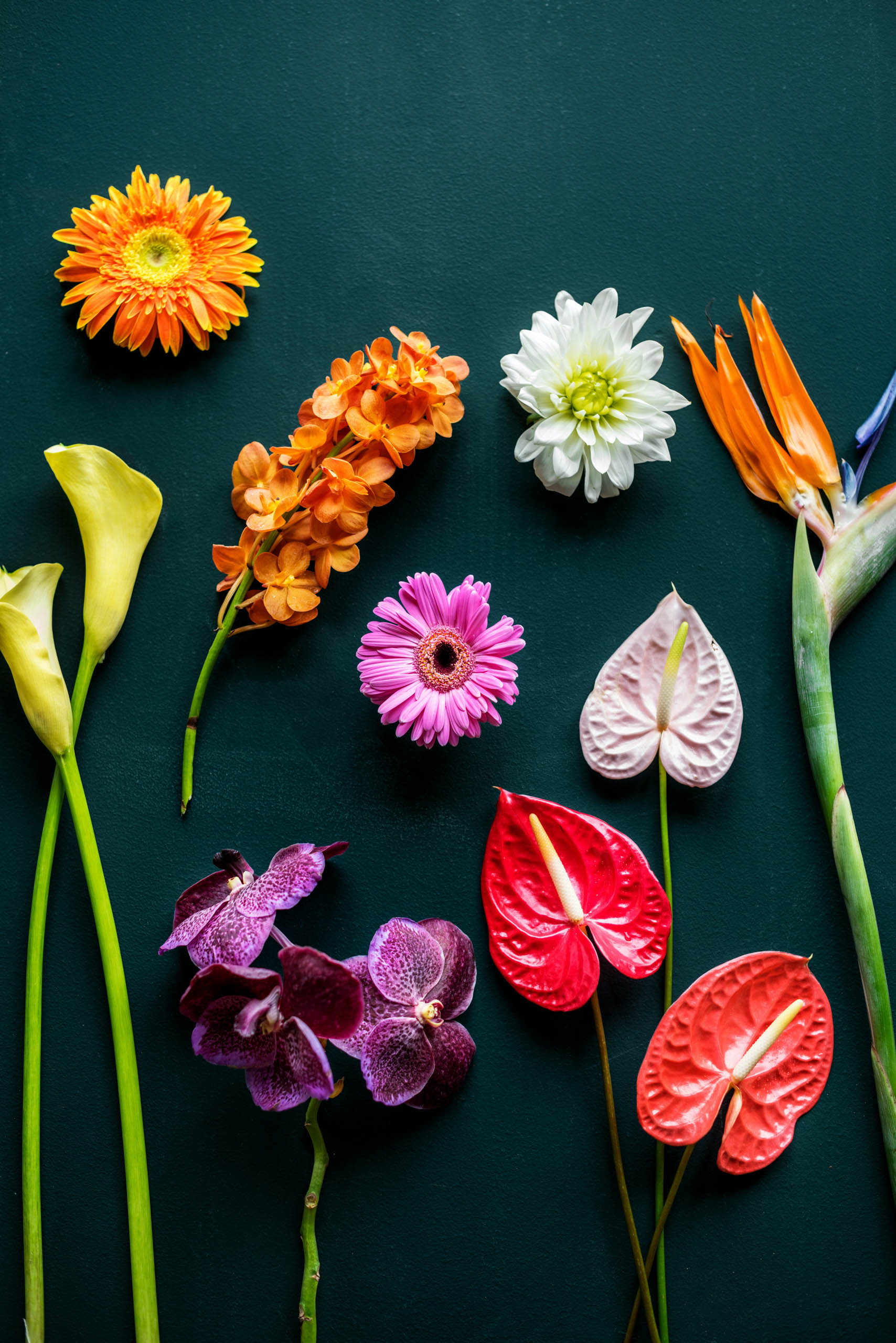 Borgo Pignano Luxury Hotel Florence Curated Lifestyle Zs9wr5 Tpz0 Unsplash